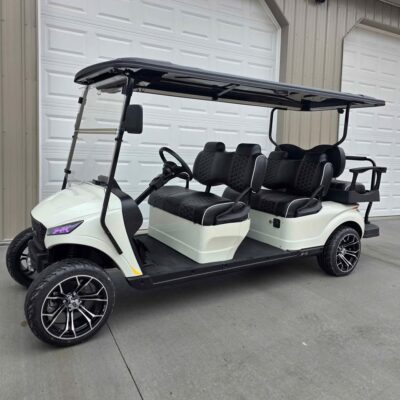 2025 Madjax X-Series X6 EcoBattery
