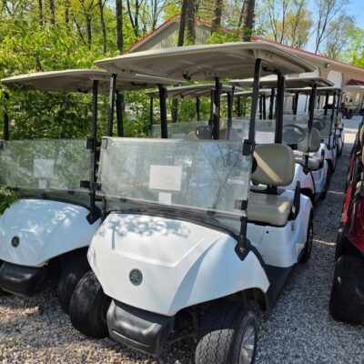 2021 Yamaha Drive2 EFI Independent Suspension