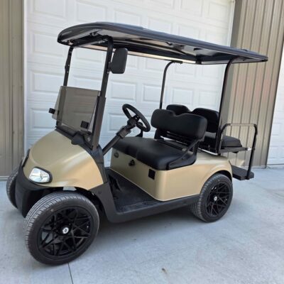 2020 Ezgo Rxv Efi Gas