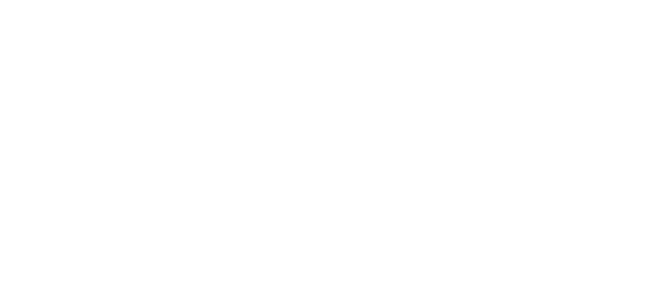 Classic Custom Carts